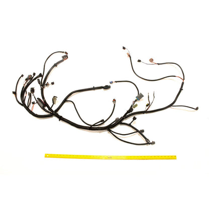 Polaris Off Road Main Harness, Genuine OEM Part 2411472, Qty 1