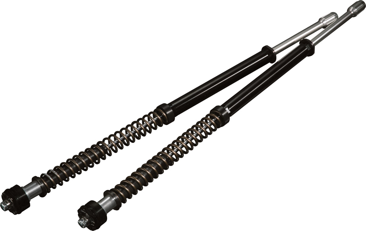 Scepter +2" Cartridge Kit 49mm Std Weight  Dyna 06 17