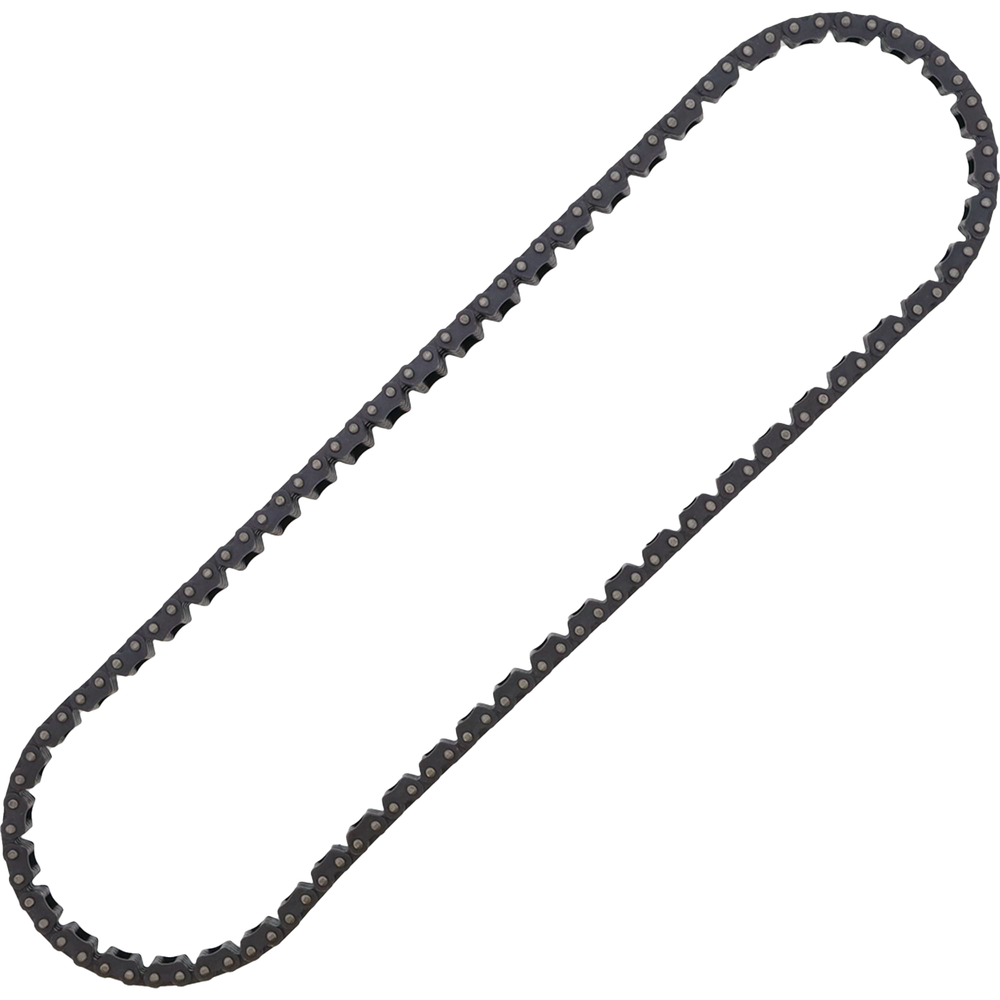 
                      
                        Cam Chain
                      
                    