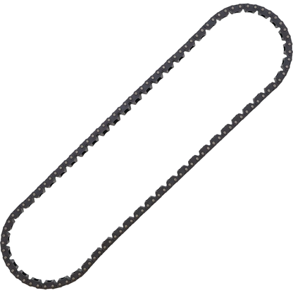 Cam Chain