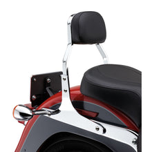 Mini Sissy Bar Chrome Flh/Flt 07 17