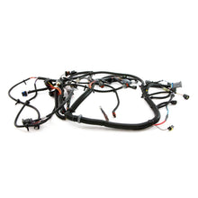 Polaris Off Road Main Harness, Single, Genuine OEM Part 2411476, Qty 1