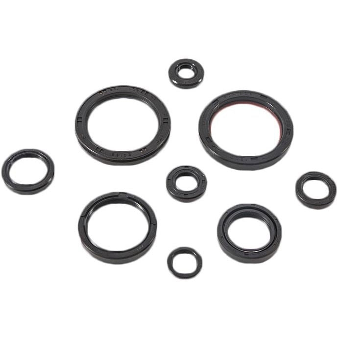 Oil Seal Set