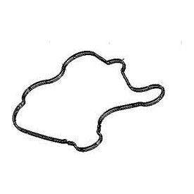 Indian Motorcycle Rocker Cover Seal #5414859