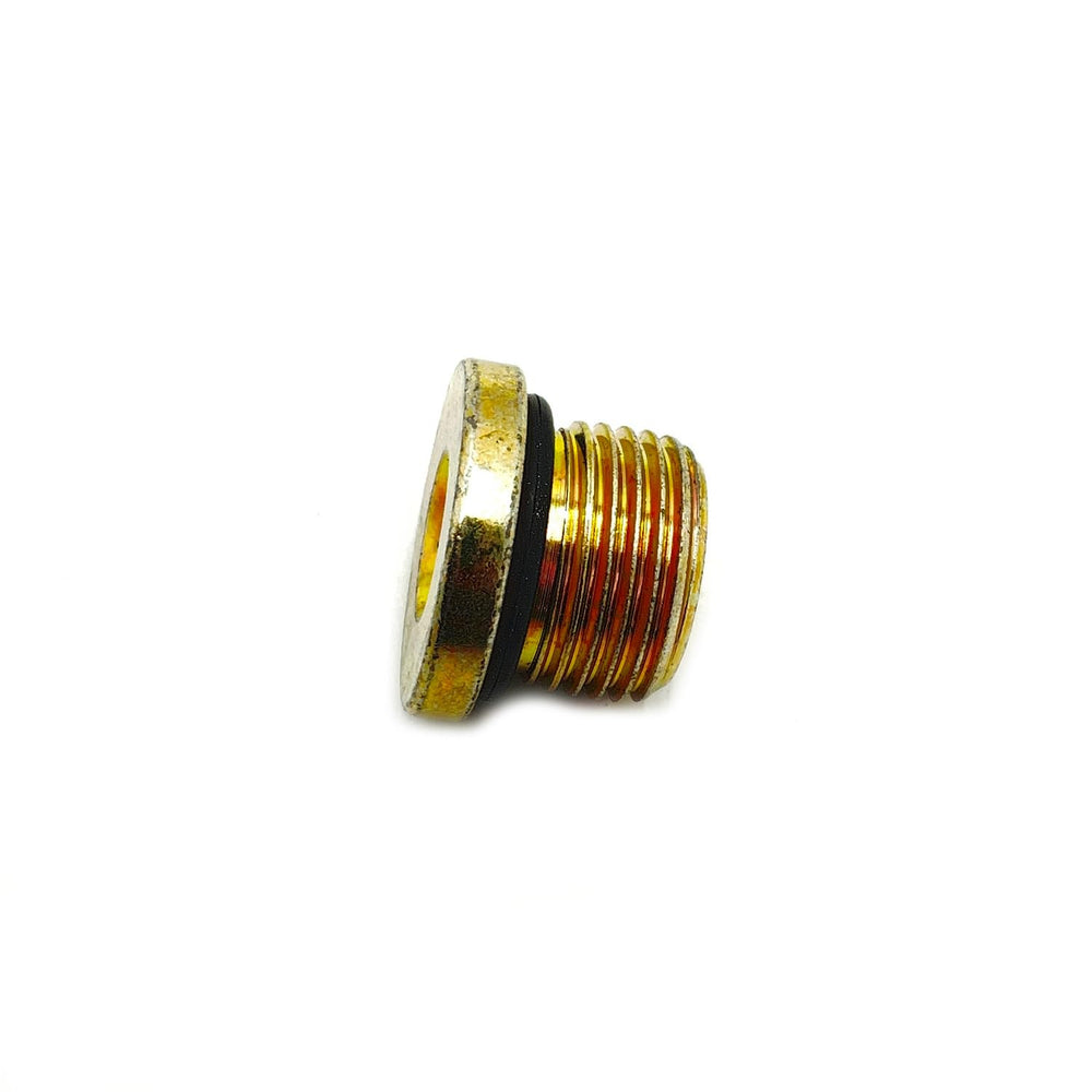
                      
                        Polaris GEM Socket Head Plug, 18 mm x 1.5 mm, Genuine OEM Part 3234755, Qty 1
                      
                    