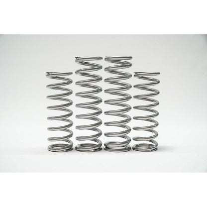 Yamaha Viking Spring Kit