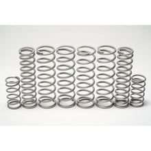 Can-Am Maverick X3 (with FOX Shocks) Dual Rate Spring Kit - RideNow Parts