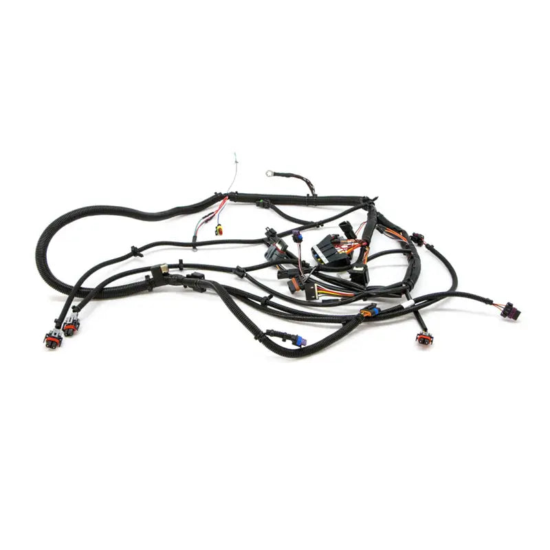 Polaris ATV Harness-Main,500 CARB, 2-UP - 2411753
