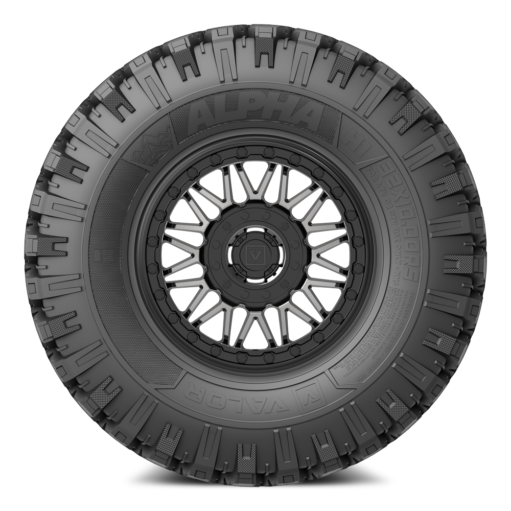 Alpha on 15x7 V08 DT UTV Wheel and Tire Kit