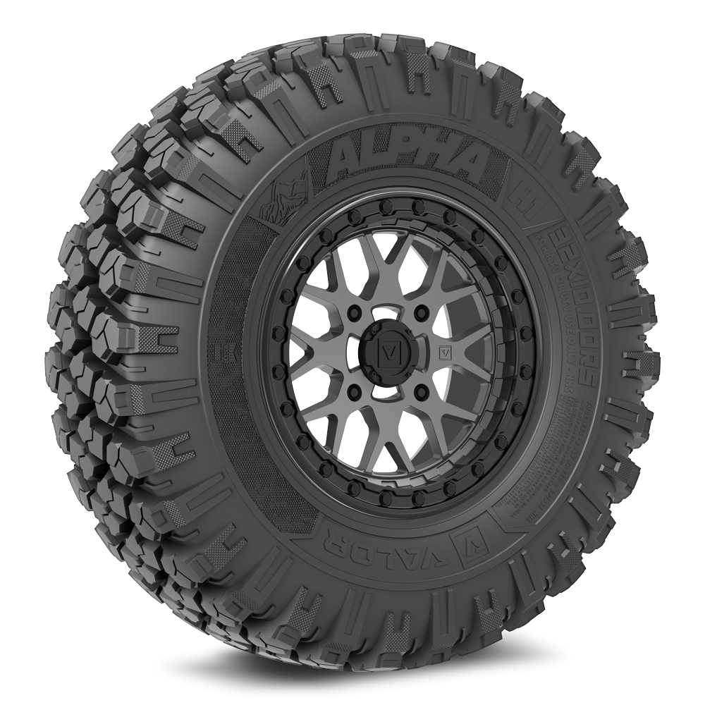 Alpha on 15x7 V07 SG UTV Wheel and Tire Kit