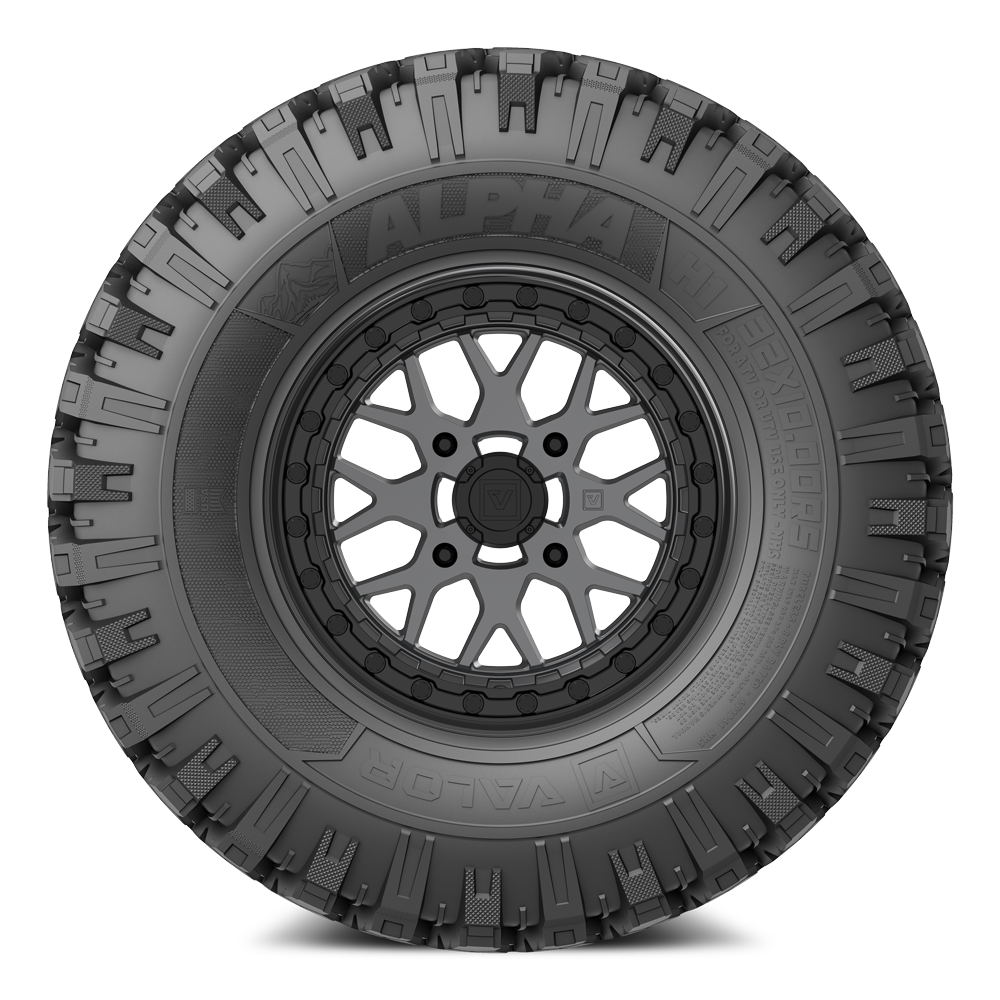 Alpha on 15x7 V07 SG UTV Wheel and Tire Kit