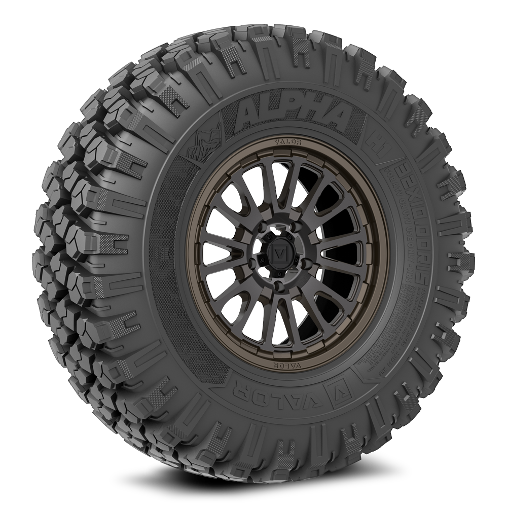 Alpha on 15x7 V14 RB UTV Wheel and Tire Kit
